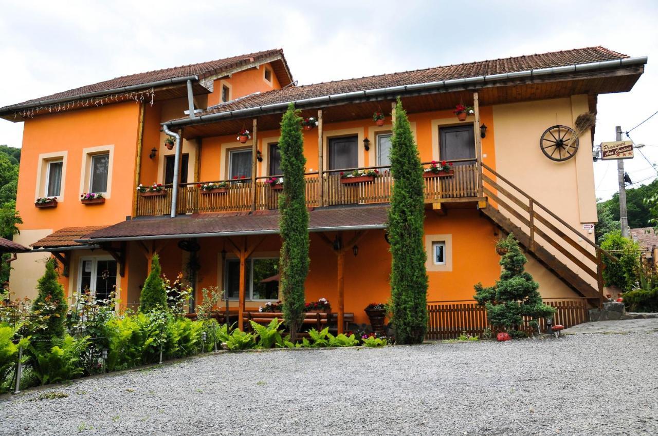 Pensiunea Ana Cristina Sighisoara Exterior photo